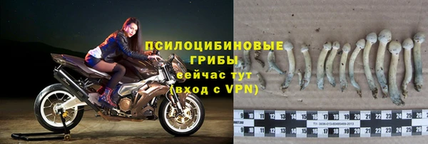 таблы Липки
