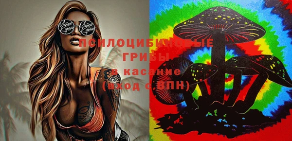 таблы Липки