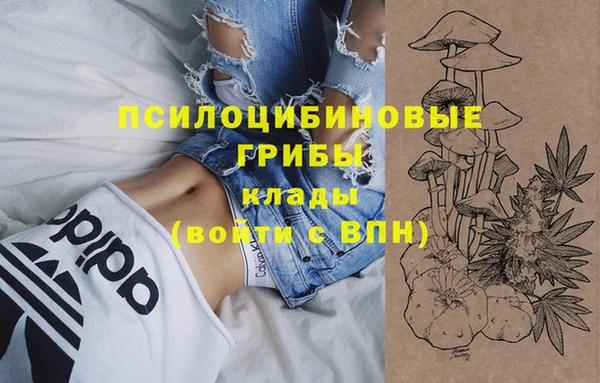 гидропоника Лиски