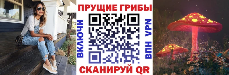 Псилоцибиновые грибы Cubensis  Купить  Славгород 